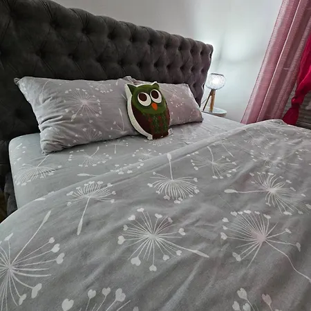 Apartman Aurora Cetinje Exterior photo