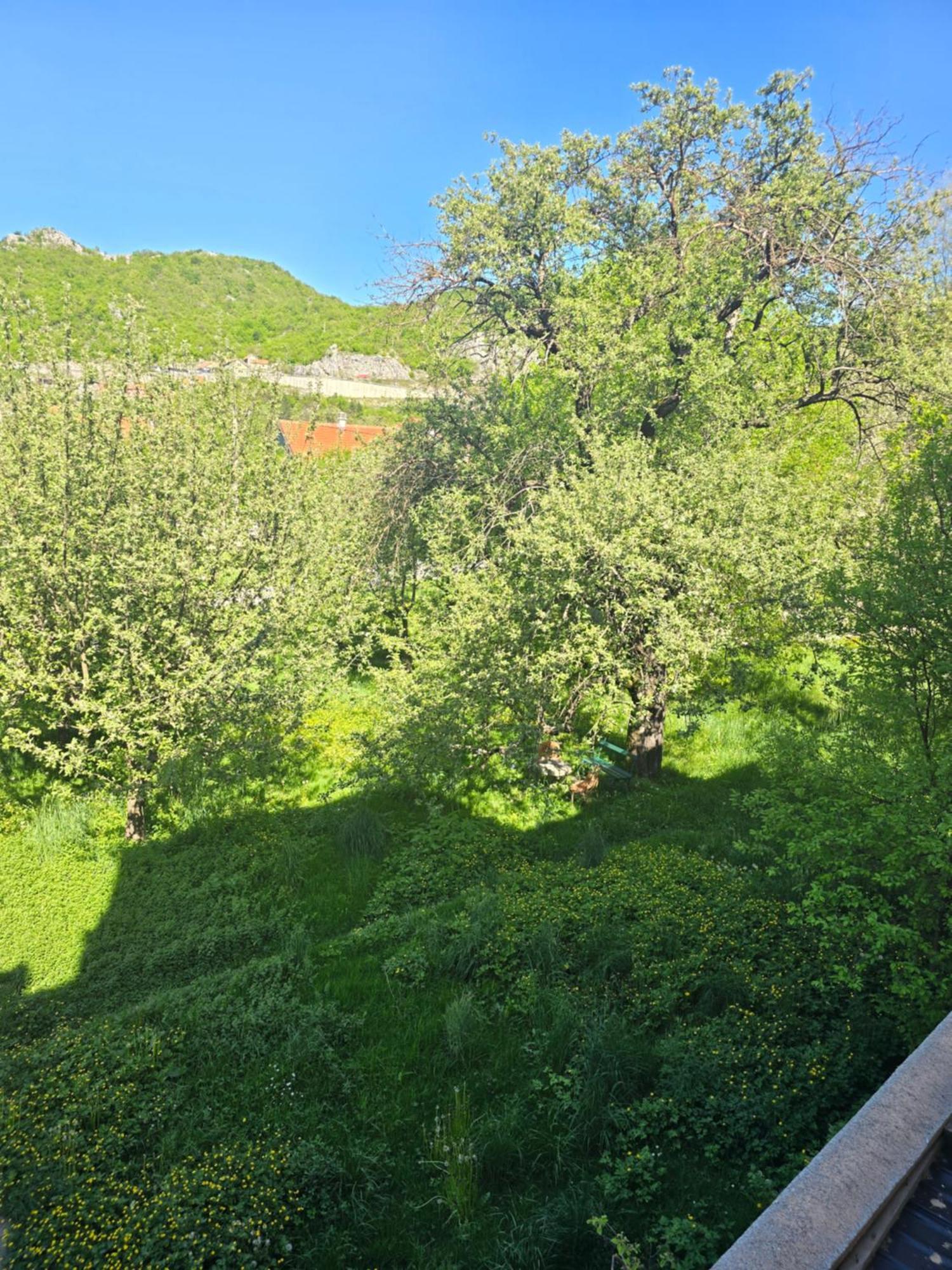 Aurora דירה סטינג'ה